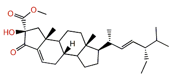 Phorbasterone C